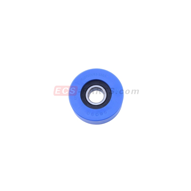 Escalator Step Roller D70*25mm-6204